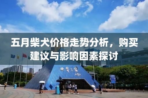 五月柴犬价格走势分析，购买建议与影响因素探讨