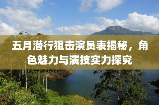五月潜行狙击演员表揭秘，角色魅力与演技实力探究