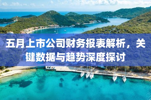 五月上市公司财务报表解析，关键数据与趋势深度探讨