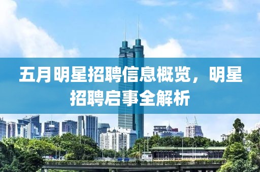 五月明星招聘信息概览，明星招聘启事全解析