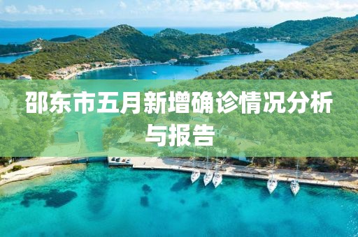 邵东市五月新增确诊情况分析与报告