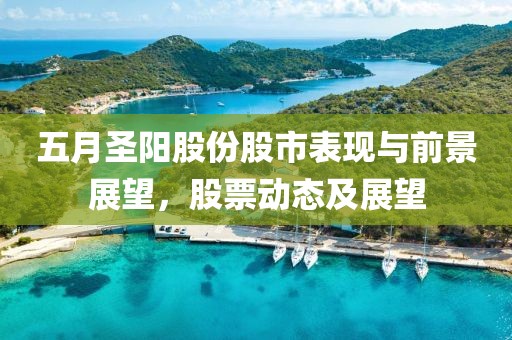 五月圣阳股份股市表现与前景展望，股票动态及展望