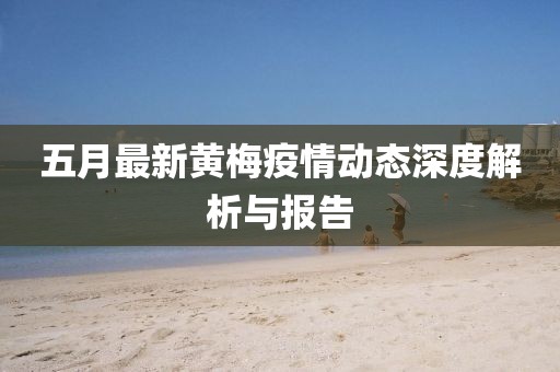 五月最新黄梅疫情动态深度解析与报告