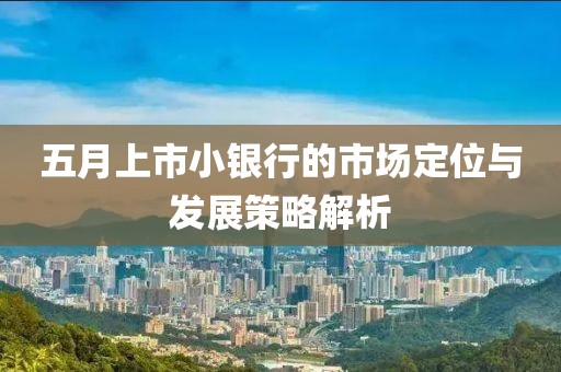 五月上市小银行的市场定位与发展策略解析