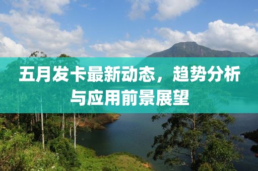 五月发卡最新动态，趋势分析与应用前景展望