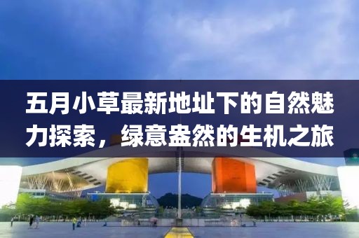 五月小草最新地址下的自然魅力探索，绿意盎然的生机之旅