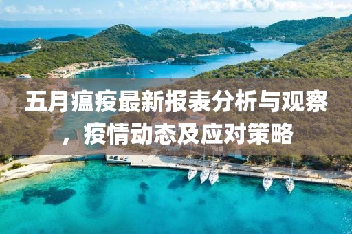 五月瘟疫最新报表分析与观察，疫情动态及应对策略