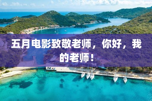 五月电影致敬老师，你好，我的老师！