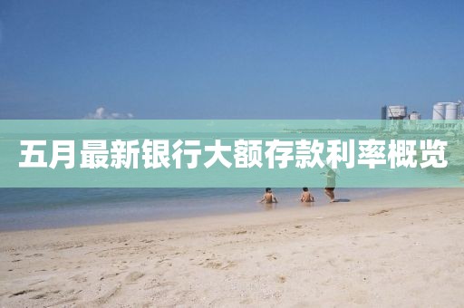 五月最新银行大额存款利率概览