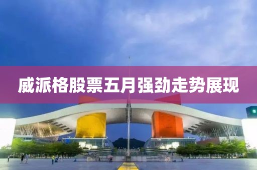 威派格股票五月强劲走势展现