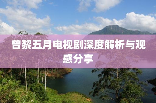 曾黎五月电视剧深度解析与观感分享