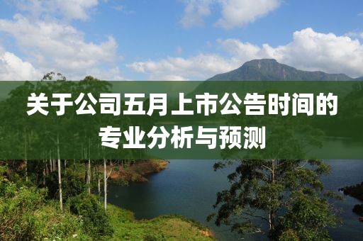 关于公司五月上市公告时间的专业分析与预测
