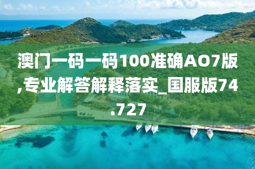 澳门一码一码100准确AO7版,专业解答解释落实_国服版74.727