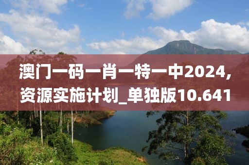 澳门一码一肖一特一中2024,资源实施计划_单独版10.641
