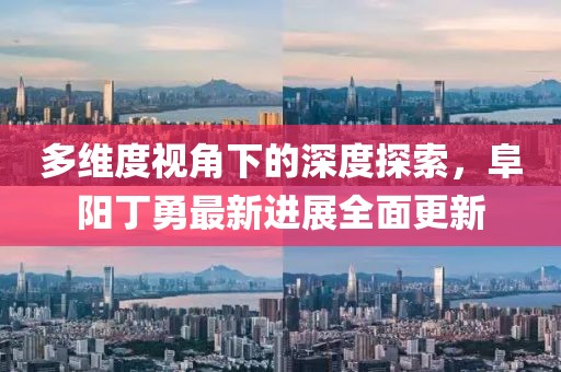 多维度视角下的深度探索，阜阳丁勇最新进展全面更新