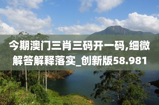 今期澳门三肖三码开一码,细微解答解释落实_创新版58.981