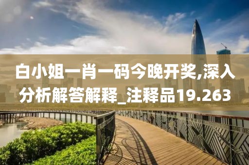 白小姐一肖一码今晚开奖,深入分析解答解释_注释品19.263