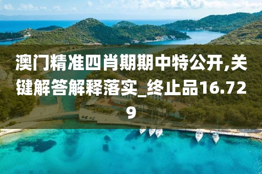 澳门精准四肖期期中特公开,关键解答解释落实_终止品16.729