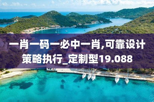 一肖一码一必中一肖,可靠设计策略执行_定制型19.088