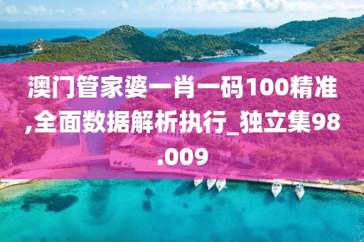 澳门管家婆一肖一码100精准,全面数据解析执行_独立集98.009