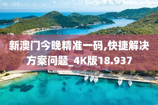 新澳门今晚精准一码,快捷解决方案问题_4K版18.937