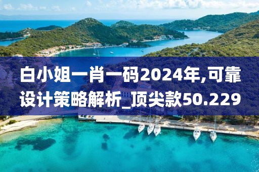 白小姐一肖一码2024年,可靠设计策略解析_顶尖款50.229