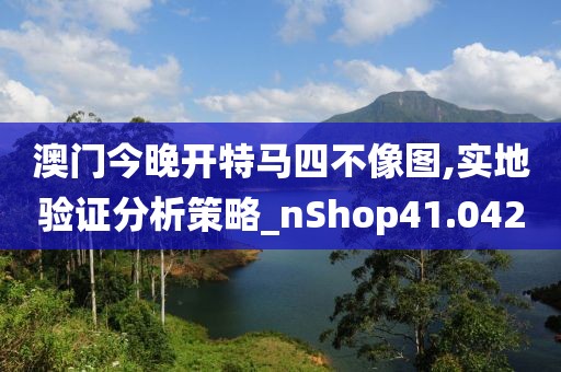 澳门今晚开特马四不像图,实地验证分析策略_nShop41.042