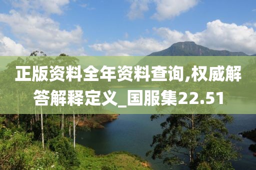 正版资料全年资料查询,权威解答解释定义_国服集22.51