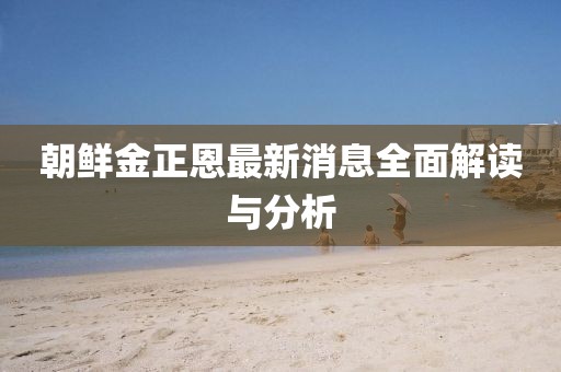 朝鲜金正恩最新消息全面解读与分析