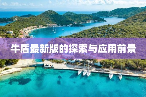 牛盾最新版的探索与应用前景