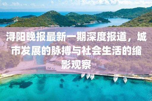 浔阳晚报最新一期深度报道，城市发展的脉搏与社会生活的缩影观察
