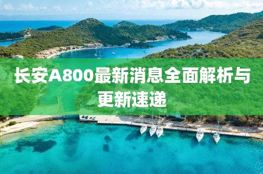 正版四不像 第35页