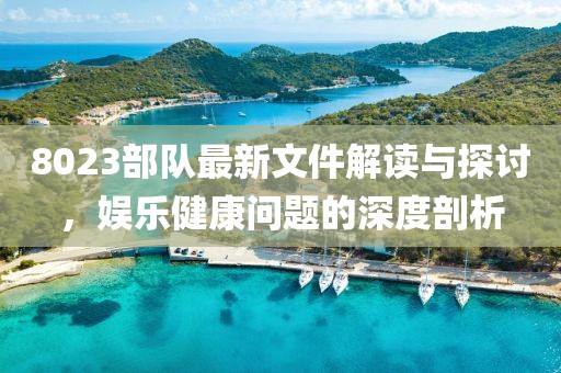 8023部队最新文件解读与探讨，娱乐健康问题的深度剖析
