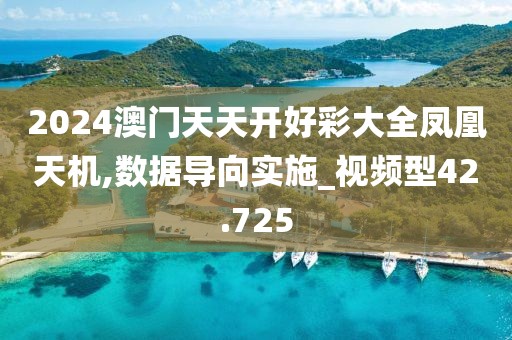 2024澳门天天开好彩大全凤凰天机,数据导向实施_视频型42.725
