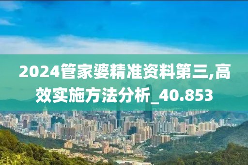 2024管家婆精准资料第三,高效实施方法分析_40.853