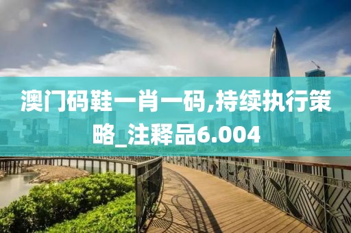 澳门码鞋一肖一码,持续执行策略_注释品6.004