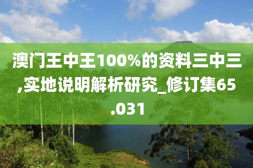 澳门王中王100%的资料三中三,实地说明解析研究_修订集65.031