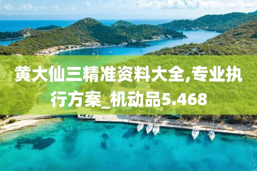 黄大仙三精准资料大全,专业执行方案_机动品5.468
