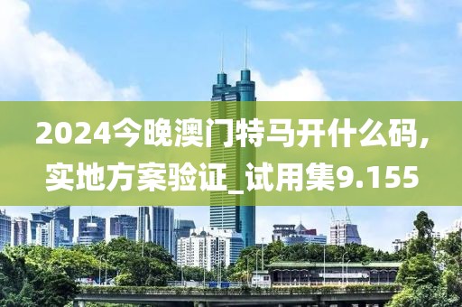 2024今晚澳门特马开什么码,实地方案验证_试用集9.155