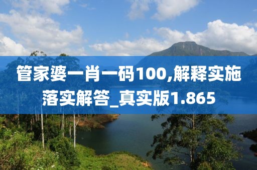 管家婆一肖一码100,解释实施落实解答_真实版1.865