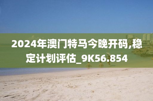 2024年澳门特马今晚开码,稳定计划评估_9K56.854