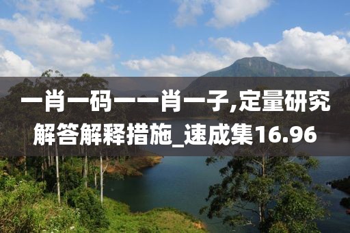 一肖一码一一肖一子,定量研究解答解释措施_速成集16.96