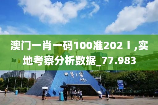 澳门一肖一码100准202ⅰ,实地考察分析数据_77.983