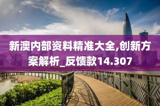 新澳内部资料精准大全,创新方案解析_反馈款14.307