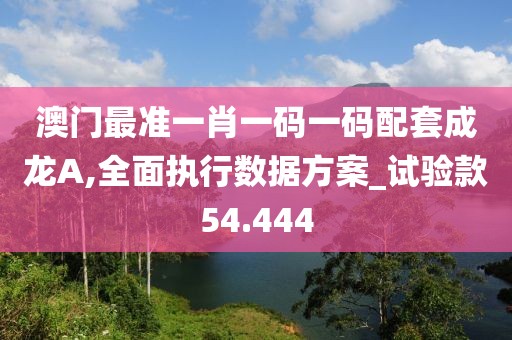 澳门最准一肖一码一码配套成龙A,全面执行数据方案_试验款54.444