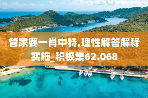 管家婆一肖中特,理性解答解释实施_积极集62.068