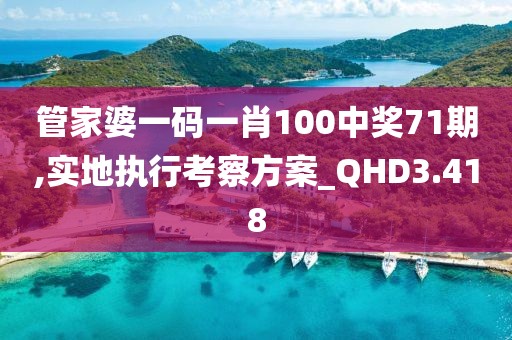 管家婆一码一肖100中奖71期,实地执行考察方案_QHD3.418