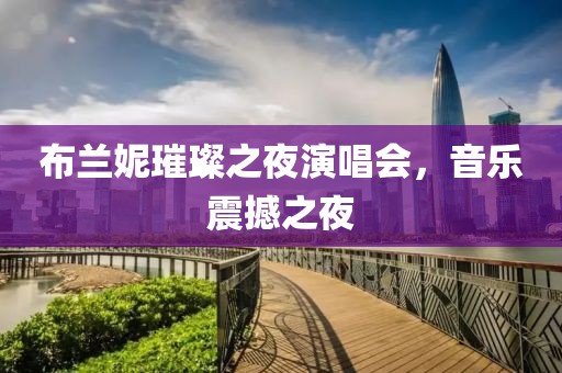 布兰妮璀璨之夜演唱会，音乐震撼之夜