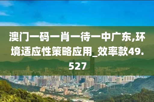澳门一码一肖一待一中广东,环境适应性策略应用_效率款49.527