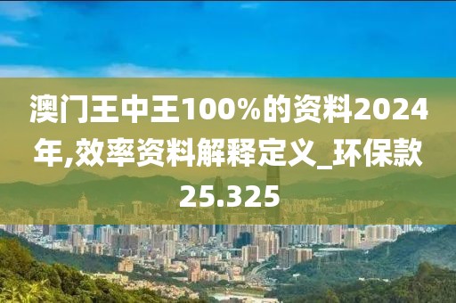 澳门王中王100%的资料2024年,效率资料解释定义_环保款25.325